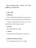 Giáo án sinh học lớp 6 - Bài 15: CẤU TẠO TRONG CỦA THÂN NON doc