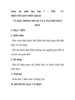 Giáo án sinh học lớp 7 - Tiết 17: MỘT SỐ GIUN ĐỐT KHÁC VÀ ĐẶC ĐIỂM CHUNG CỦA NGÀNH GIUN ĐỐT pot