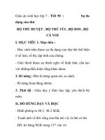 Giáo án sinh học lớp 7 - Tiết 50 : BỘ THÚ HUYỆT , BỘ THÚ TÚI , BỘ DƠI , BỘ CÁ VOI ppt