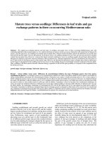 Báo cáo lâm nghiệp: