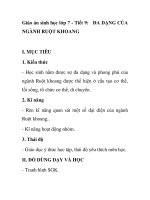 Giáo án sinh học lớp 7 - Tiết 9: ĐA DẠNG CỦA NGÀNH RUỘT KHOANG pptx