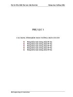 CÁC BẢNG TÍNH KIỂM TOÁN TƯỜNG CHẮN CÓ CỐT pot