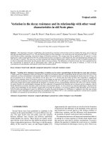 Báo cáo lâm nghiệp: