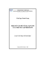 Một số vấn đề về đa tạo con của một đa tạp riemann
