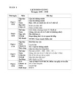 tuan 1 giáo án lớp 3-2011 ppsx