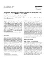 Báo cáo khoa học: 