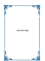 Sỏi tiết niệu ppsx