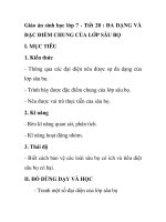 Giáo án sinh học lớp 7 - Tiết 28 : ĐA DẠNG VÀ ĐẶC ĐIỂM CHUNG CỦA LỚP SÂ BỌ pdf