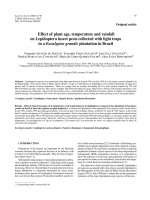 Báo cáo lâm nghiệp: 