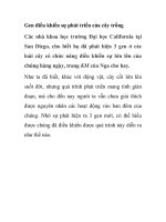 Gen điều khiển sự phát triển của cây trồng pdf