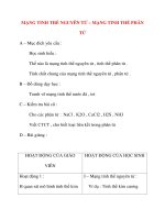 Giáo án Hóa Học lớp 10: MẠNG TINH THỂ NGUYÊN TỬ – MẠNG TINH THỂ PHÂN TỬ pptx