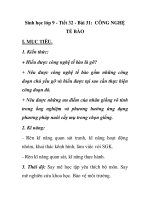 Sinh học lớp 9 - Tiết 32 - Bài 31: CÔNG NGHỆ TẾ BÀO pot