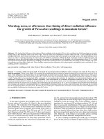 Báo cáo lâm nghiệp: 