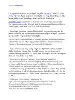 Can dien tu gia re - Scales super cheap price pptx