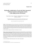 Báo cáo khoa học: 