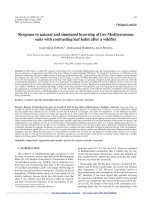 Báo cáo lâm nghiệp: 