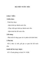 BÀI TIẾT NƯỚC TIỂU pps