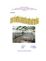 H1N1 và những ảnh hưởng đến môi trường