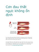 Cơn đau thắt ngực không ổn định ppt