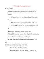 Giáo án Sinh Học lớp 12 Ban Tự Nhiên: QUY LUẬT PHÂN LI ĐỘC LẬP. pdf