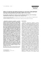 Báo cáo khoa học: 