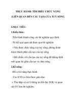 THỰC HÀNH: TÌM HIỂU CHỨC NĂNG (LIÊN QUAN ĐẾN CẤU TẠO) CỦA TUỶ SỐNG docx