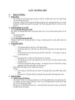 Gãy xương hở ppsx