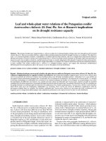 Báo cáo lâm nghiệp: 