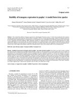 Báo cáo lâm nghiệp: