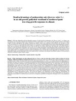 Báo cáo lâm nghiệp: 