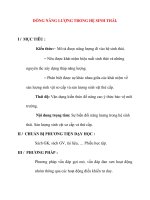 Giáo án Sinh Học lớp 12 Ban Tự Nhiên: DÒNG NĂNG LƯỢNG TRONG HỆ SINH THÁI docx