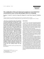 Báo cáo khoa học: 