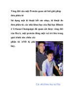 Vòng đời của một Protein quan sát bởi giải pháp đơn phân tử pps