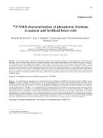 Báo cáo khoa học: 