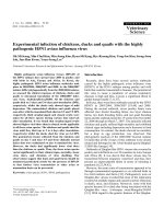 Báo cáo khoa học: 