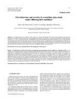 Báo cáo lâm nghiệp: 