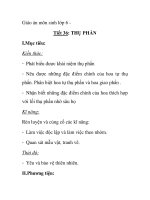 Giáo án môn sinh lớp 6 Tiết 36: THỤ PHẤN pptx