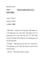 Hình học lớp 9 Tiết 6: TỈ SỐ LƯỢNG GIÁC CỦA GÓC NHỌN docx