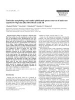 Báo cáo khoa học: 