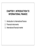 Introduction to international finance pptx