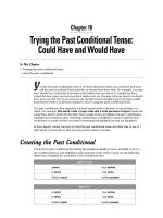 Giáo trình động từ tiếng Pháp - Part IV Looking Ahead: The Future and the Conditional Tenses - Chapter 18 pdf