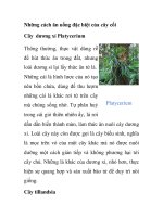 Những cách ăn uống đặc biệt của cây cối docx