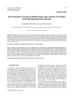 Báo cáo lâm nghiệp: 