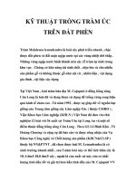 KỸ THUẬT TRỒNG TRÀM ÚC TRÊN ĐẤT PHÈN doc