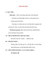 Giáo án Sinh Học lớp 12 Ban Tự Nhiên: HỆ SINH THÁI. pdf