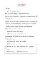 Giáo án Giải tích 12 ban tự nhiên : Tên bài dạy : SỐ PHỨC pdf