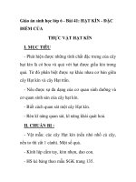 Giáo án sinh học lớp 6 - Bài 41: HẠT KÍN - ĐẶC ĐIỂM CỦA THỰC VẬT HẠT KÍN ppt