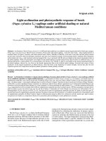 Báo cáo lâm nghiệp: 