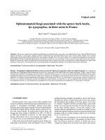 Báo cáo lâm nghiệp: 