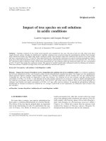 Báo cáo khoa học: 